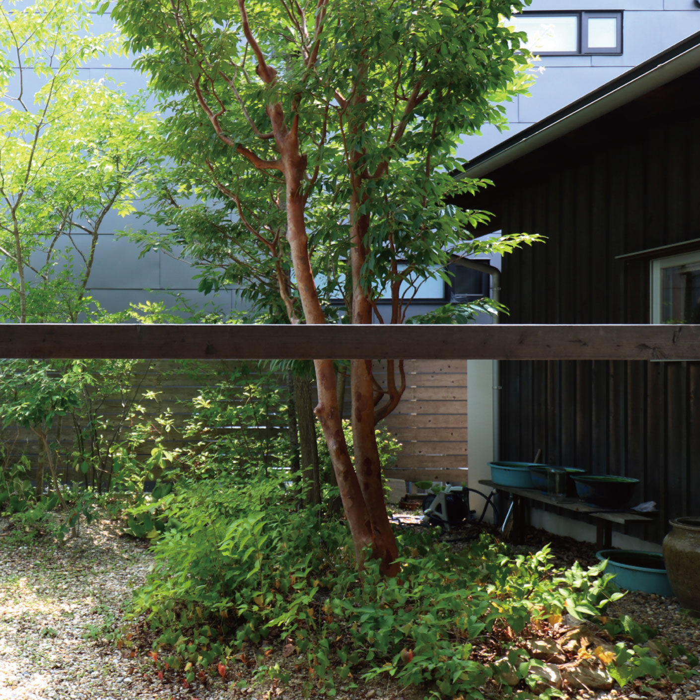 光と風と静かな豊かさ