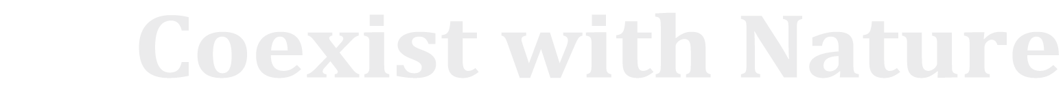 心地よい木の家