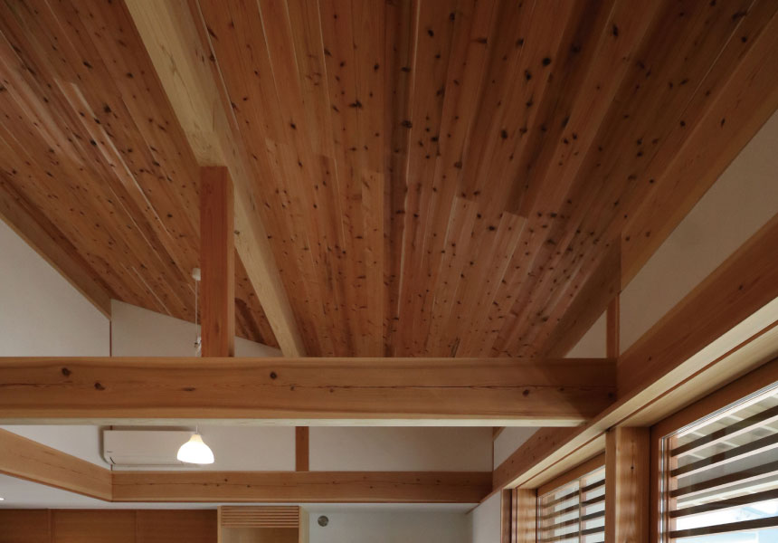 天竜杉・鳳来杉