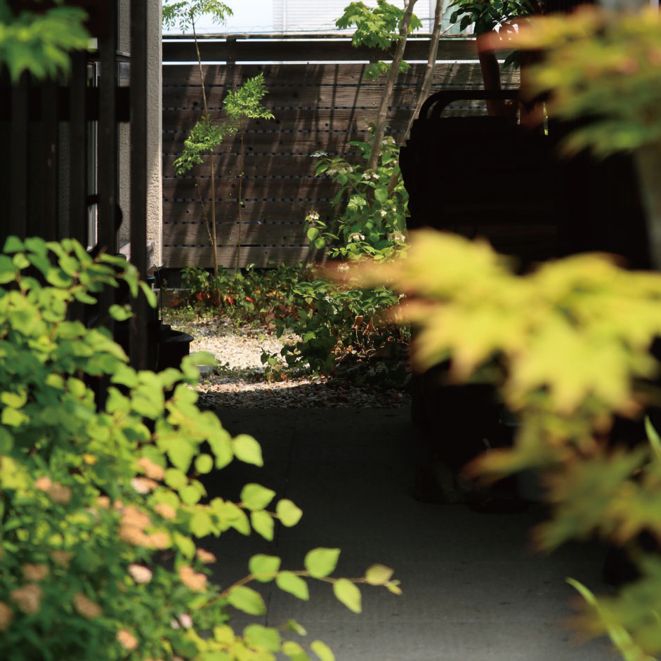 光と風と静かな豊かさ